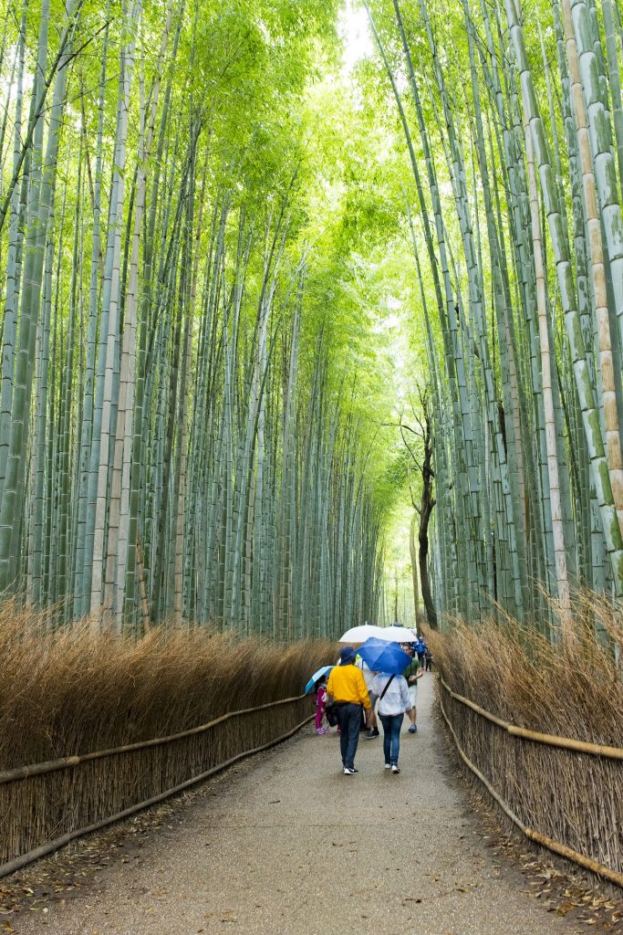 Viagem ao Japão: passagens promocionais e 3 lugares para visitar