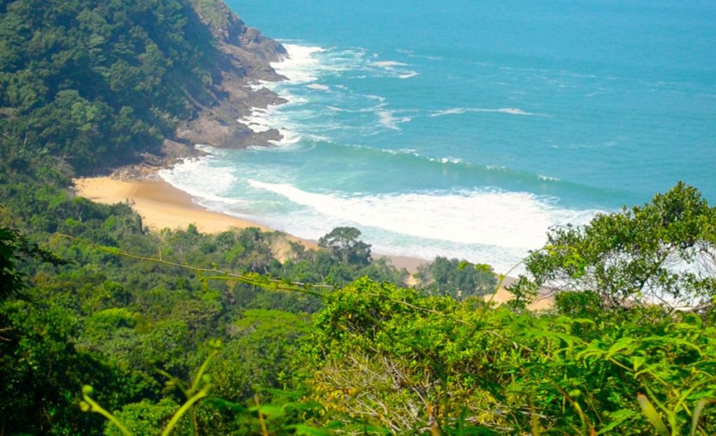 Litoral paulista é cheio de trilhas bonitas que levam às praias