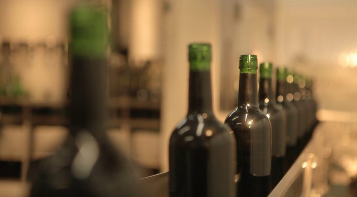 produção de vinho artesanal